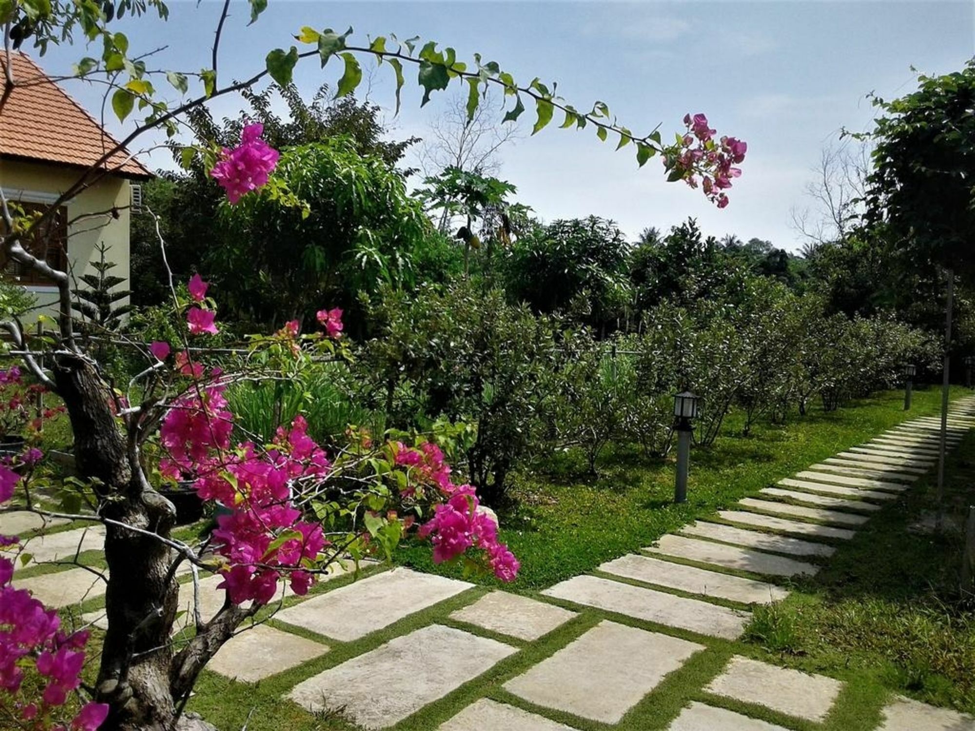 Spring Garden Homestay Phu Quoc Extérieur photo