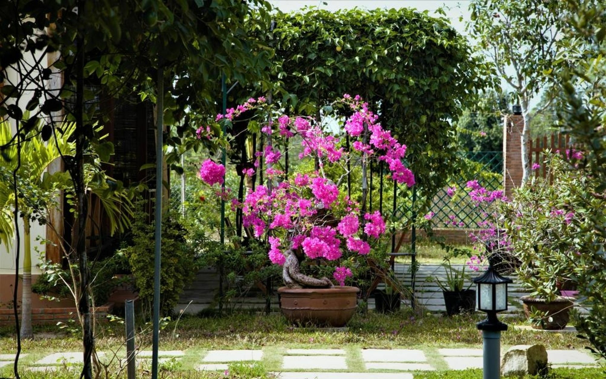 Spring Garden Homestay Phu Quoc Extérieur photo
