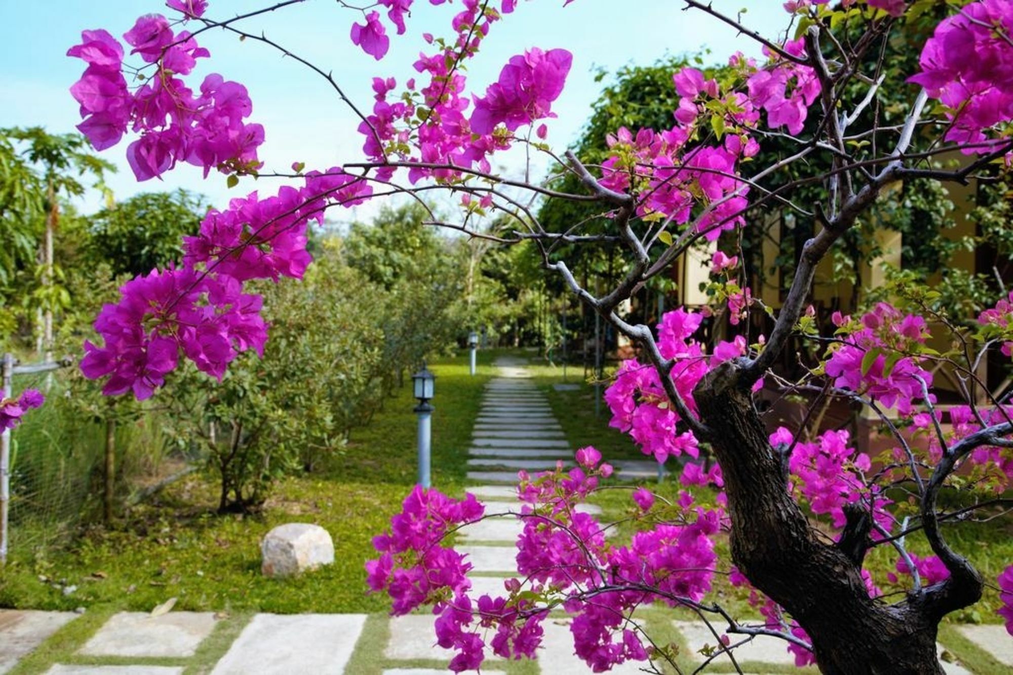 Spring Garden Homestay Phu Quoc Extérieur photo