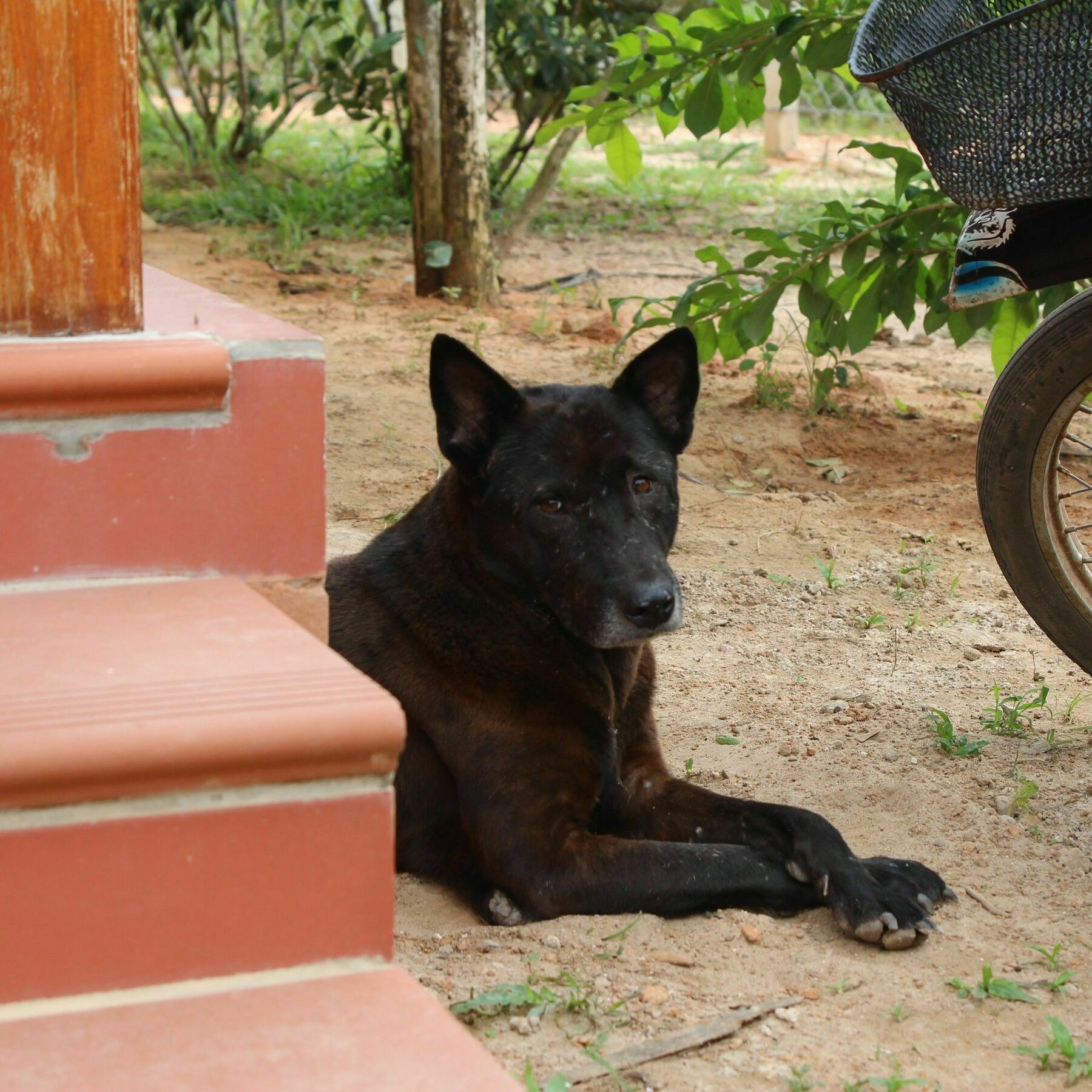 Spring Garden Homestay Phu Quoc Extérieur photo