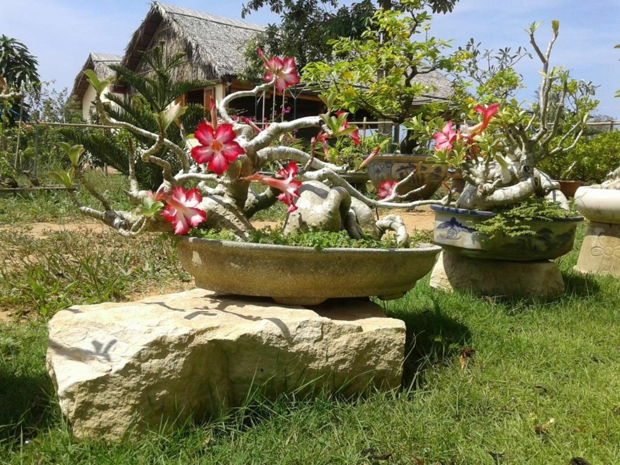 Spring Garden Homestay Phu Quoc Extérieur photo