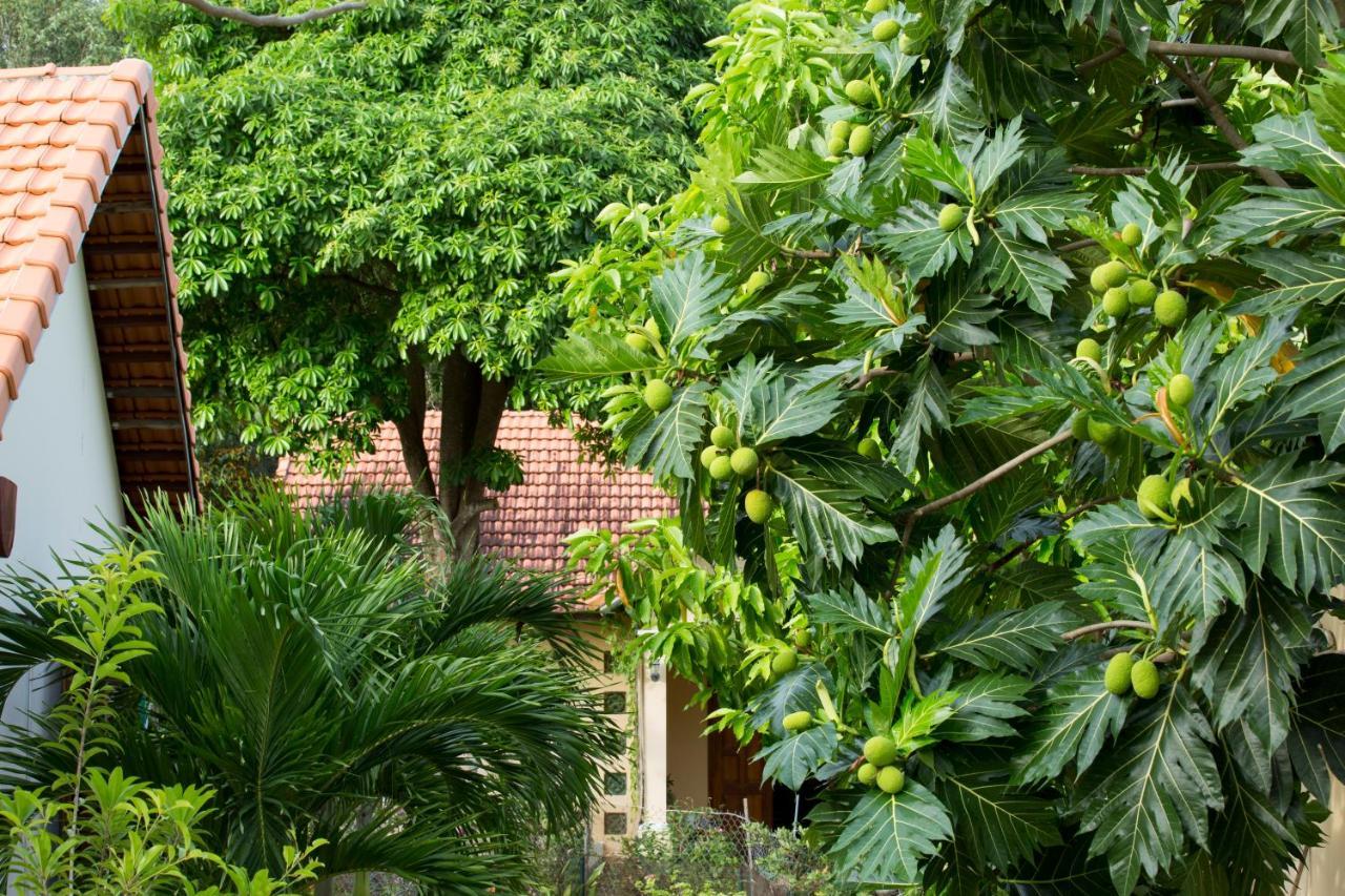 Spring Garden Homestay Phu Quoc Extérieur photo
