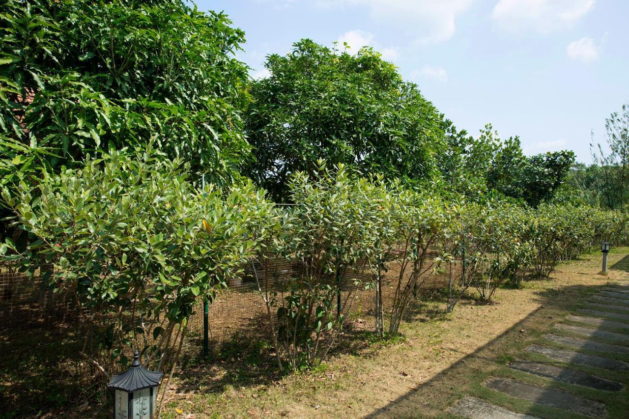 Spring Garden Homestay Phu Quoc Extérieur photo