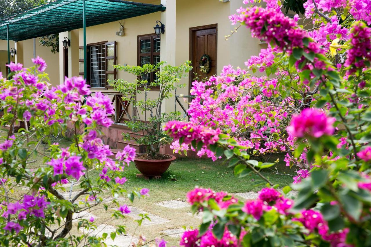 Spring Garden Homestay Phu Quoc Extérieur photo